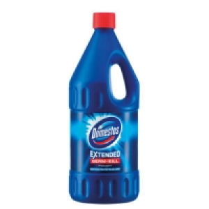 Domestos Regular 2L