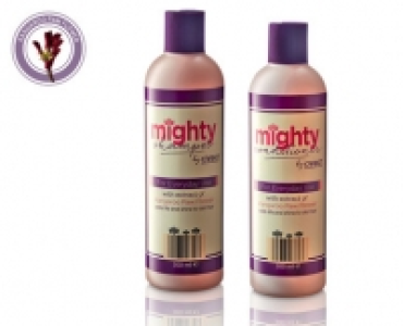 Mighty Shampoo/Conditioner