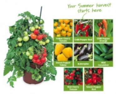 Fruit & Vegetable Plants 3.99 €