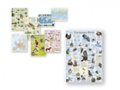 Wall Maps/Learning Poster 3.99 €