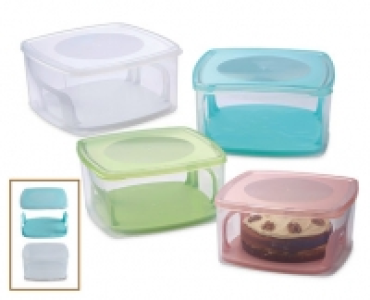 Cake Box with Lifter