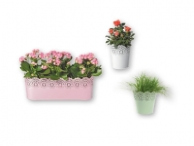 Florabest® Flower Pot