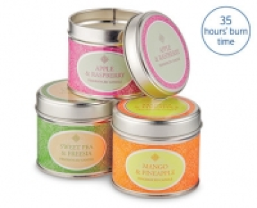Summer Fragranced Tin Candle