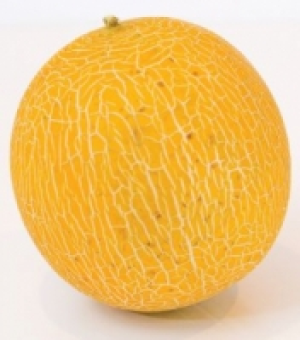 Fresh Choice Galia Melons