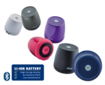 Wireless Speaker Bug