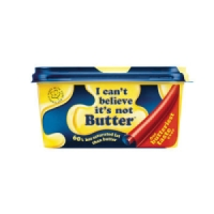 I Cant Believe Its Not Butter 500g