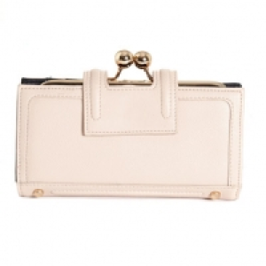 Clip Frame Purse
