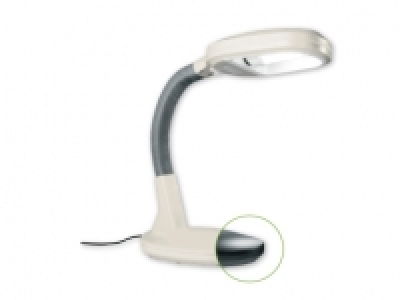 Livarno Lux® Daylight Lamp