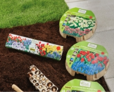 Flowering Bulbs in a Tray