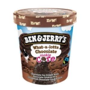 Ben & Jerrys What-a-lotta Chocolate Cookie Core 500ml