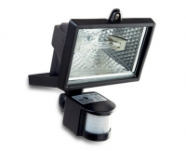120W Halogen Floodlight