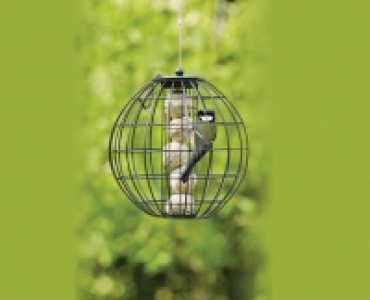 Squirrel-Resistant Feeder