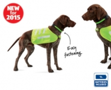 Reflective Dog Accessories