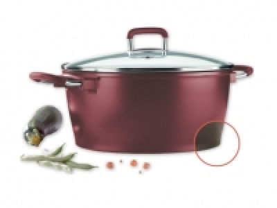 Ernesto® 28cm Cast Aluminium Pot