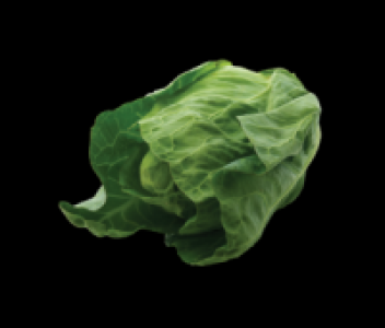 Centra York Cabbage