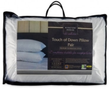 Touch of Down Pillow Pair