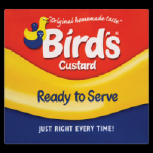 Birds Ready to Serve Custard 500g