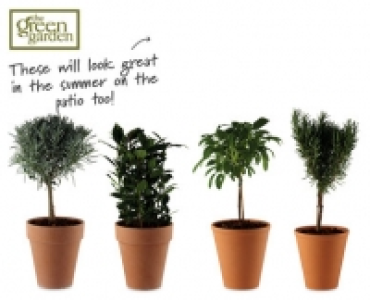 Potted Herbs 4.99 €