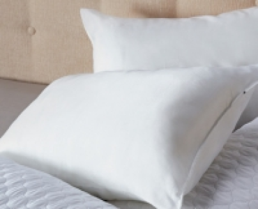 Mega Bounce Pillow Pair 5.99 €