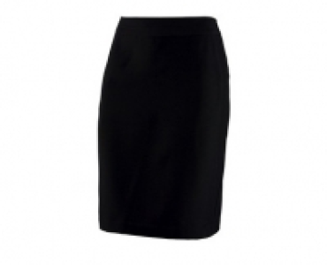 Ladies Pencil Skirt
