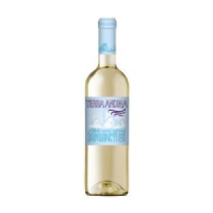 Terra Andina Sauvignon Blanc 75cl