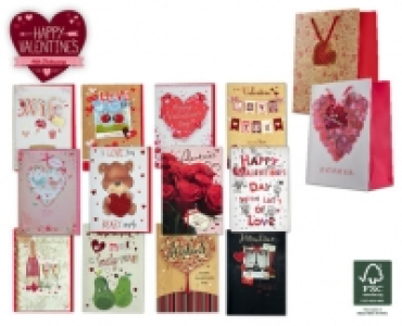 Large Valentines Day Cards/Gift Bags