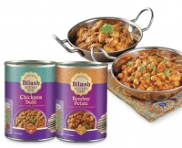 Vegetable Indian Curry