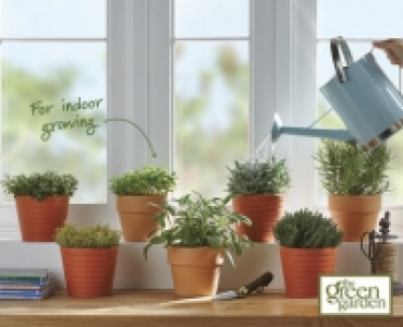 Italian Herbs in Terracotta