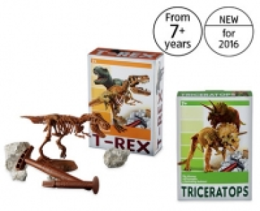 Aldi  Dinosaur Excavation Set