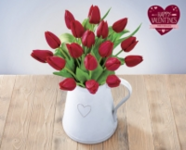 Valentines Red Tulips