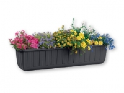FLORABEST® Flower Box 60cm 4.99 €
