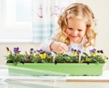 Windowsill Greenhouse