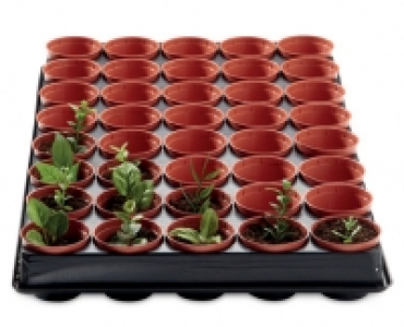 Seed and Cutting Tray 4.99 €
