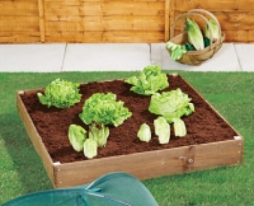Raised Bed