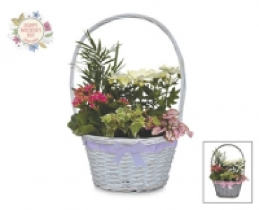 Premium Mothers Day Gift Basket