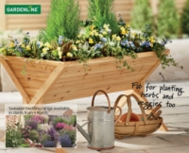 Aldi  Raised Growing Trough