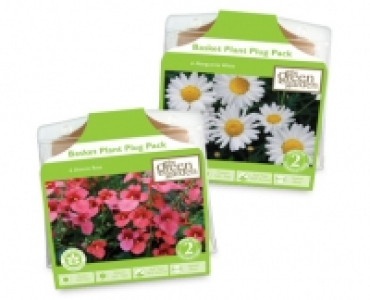 Basket Plant Plug Packs