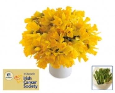 Daffodil Day Bumper Bouquet
