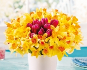 Easter Tulip & Daffodil Mixed Bouquet