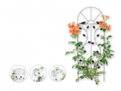 FLORABEST® Trellis 5.99 €