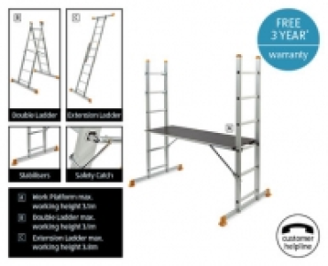 Scaffold and Ladder System