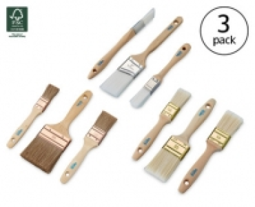 Premium Brush Sets