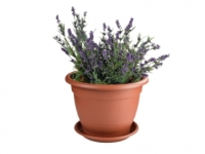FLORABEST® Plant Pot Ø45cm