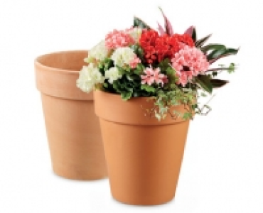 Italian Terracotta Pot