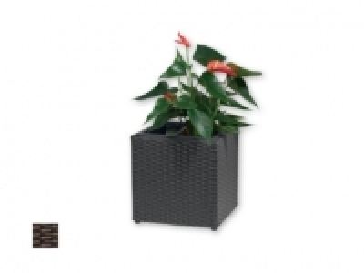 Lidl  FLORABEST® Small Wicker Planter 28 x 28 x 28cm