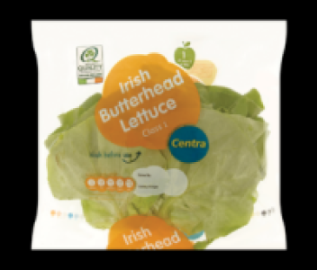 Centra Butterhead Lettuce