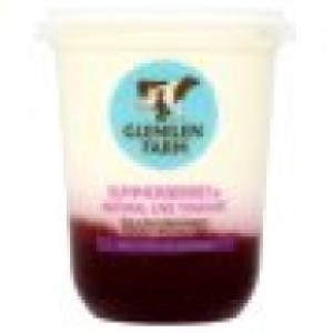 Glenilen Summer Berries Yoghurt Pot 500G 1.75&nbsp;&euro;