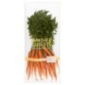 Bunched Carrots 500G 1.99&nbsp;&euro;
