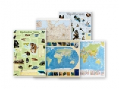 Wall Map/Learning Poster
