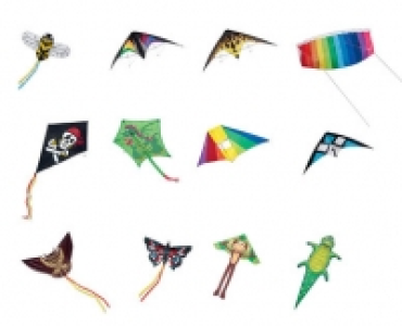 Kite